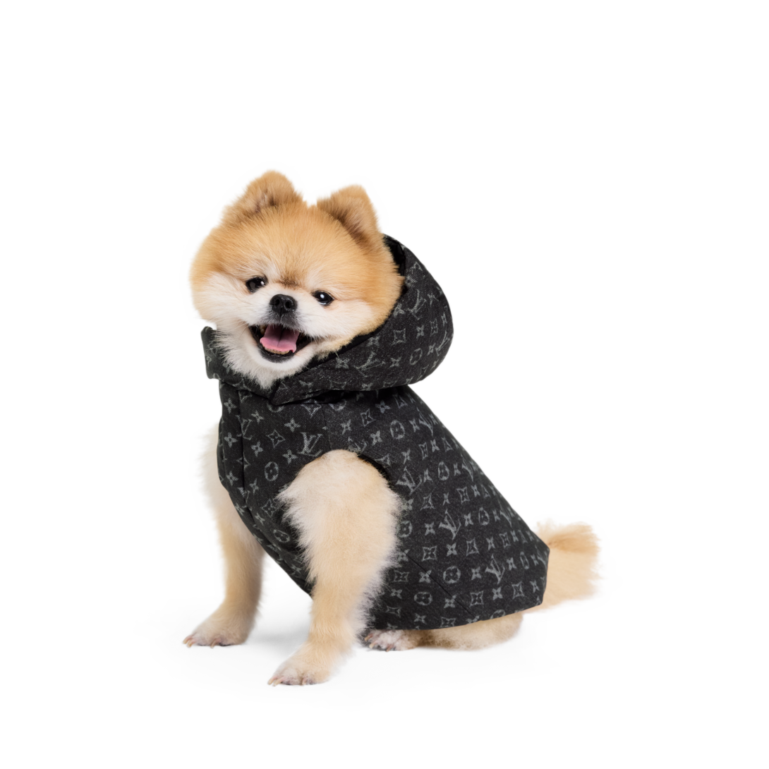 Dog Puffer Jacket XS S00 - Pets Accessories | LOUIS VUITTON